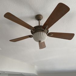 FAN LIGHT