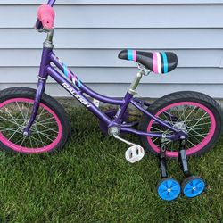 18 Inch Wheels Girls Bicycle With Training Wheels 