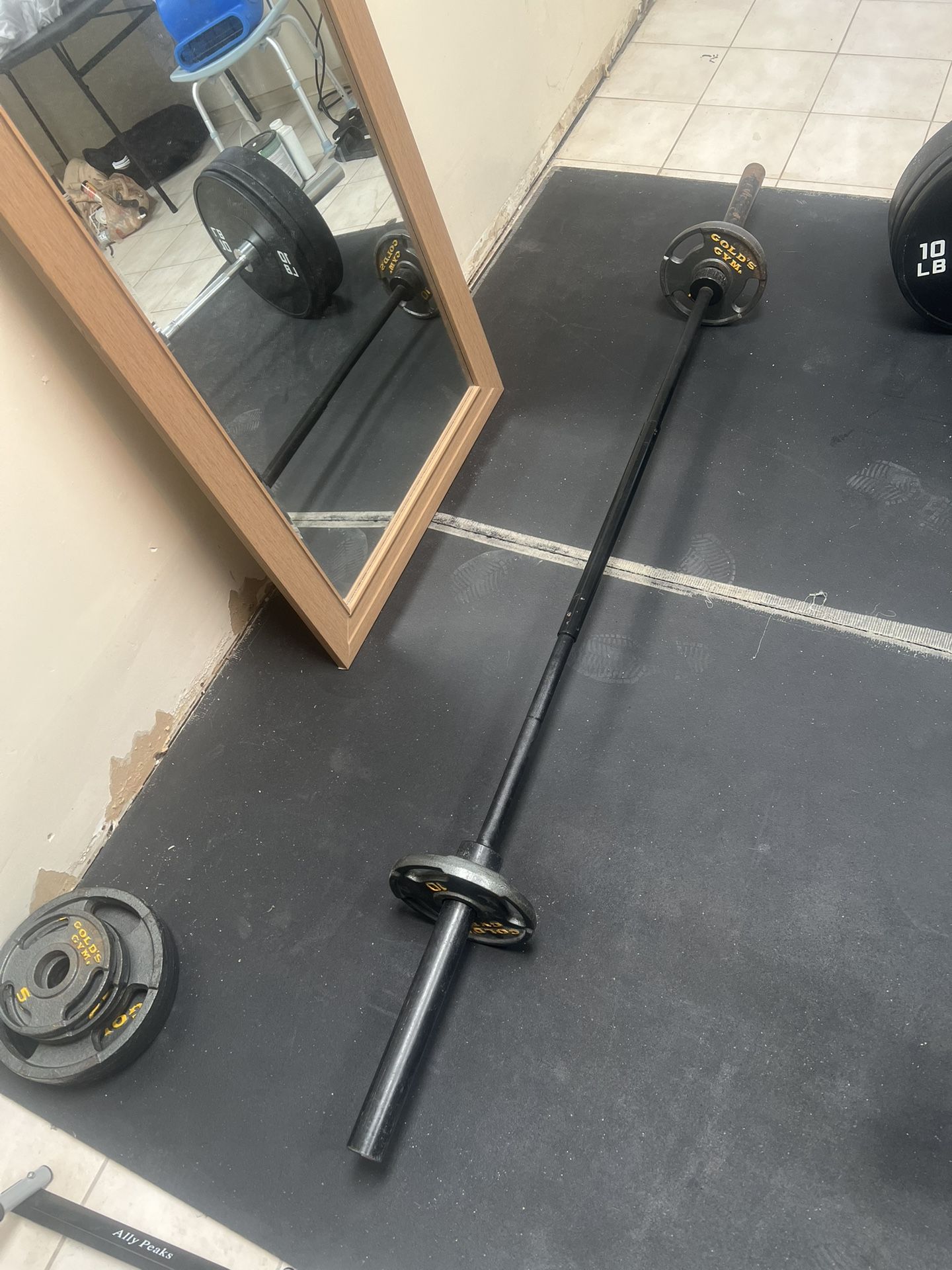 45 barbell with golds gyms weights