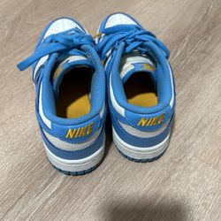 Nike Dunks 