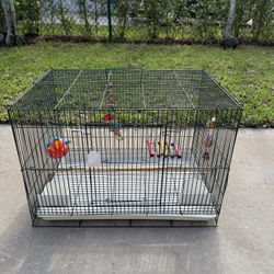 🐦 Bird cage 
