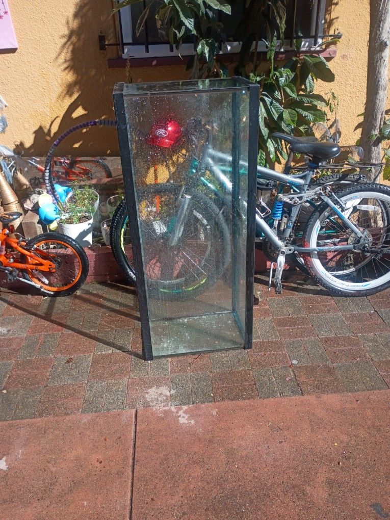 Big Glass Tank 