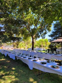 Champagne Glass Cups