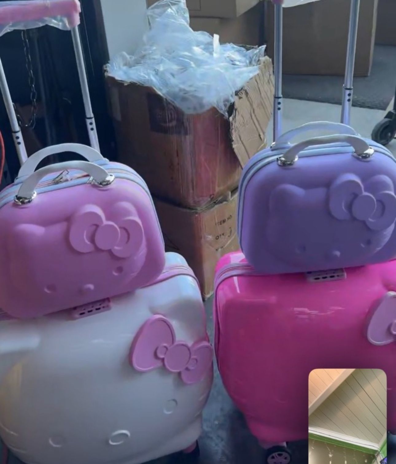 Luggage Hello Kitty