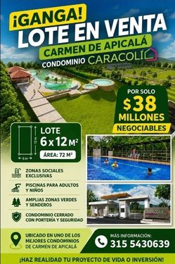 Lote Carmen de Apicala Colombia