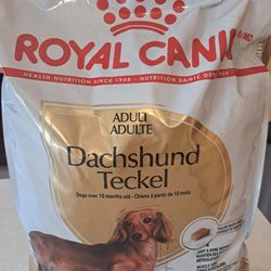 DOG Food