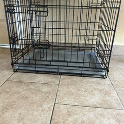 Dog Cage 