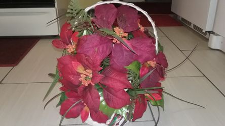 Christmas flower