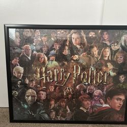 Framed Harry Potter Puzzle