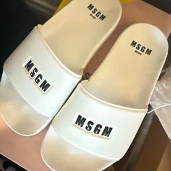 MSGM slides size 6