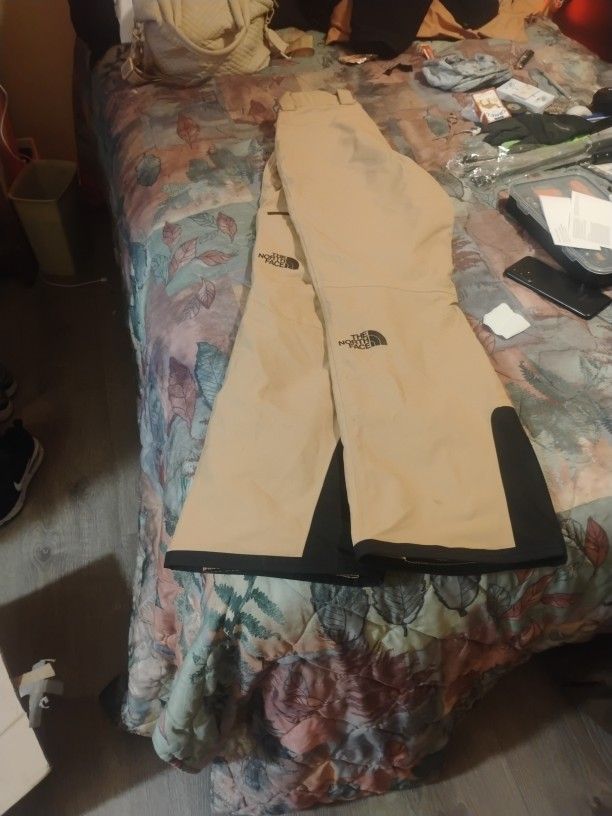 North face Ski Pants