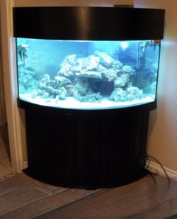 AGA Corner Saltwater Aquarium Setup