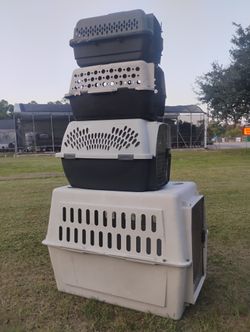 Dog Cages