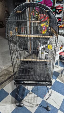 Parrot/bird cage