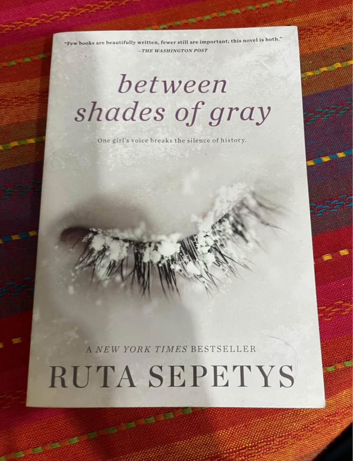 Between Shades Of Gray Book