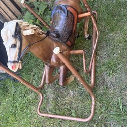 Wonder Horse 
