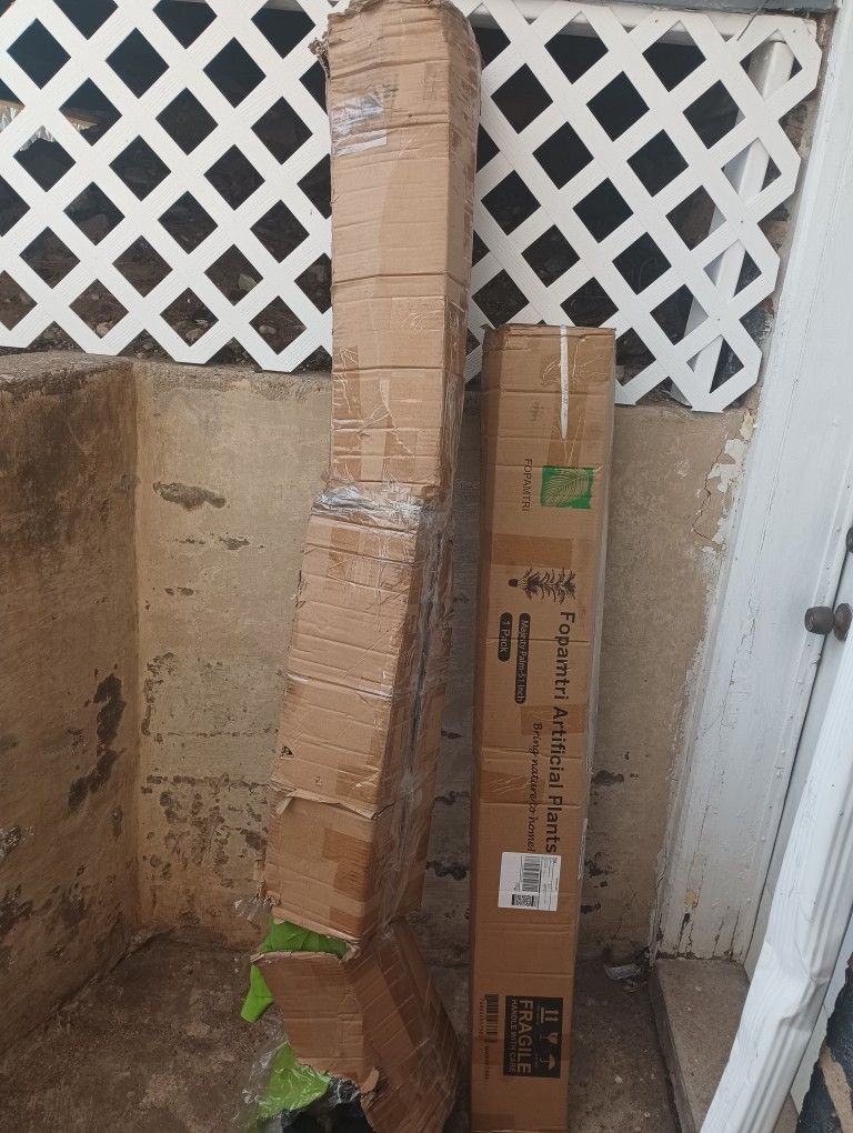 2 Plants 1 Fopamtri And Second One Not Sure Artificial Areca Palm Plant With Pot