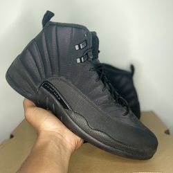 Air jordan deals 12 wntr