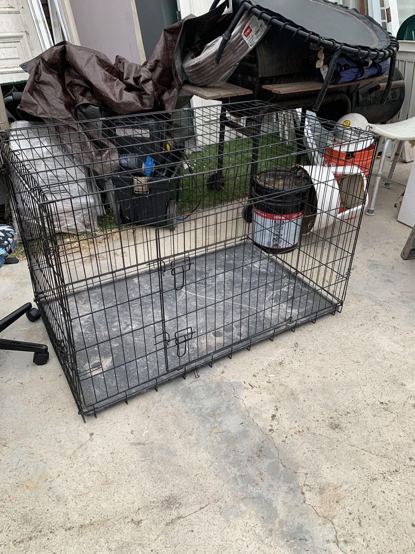 Dog Case $15 And $10