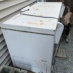 Chest Freezer