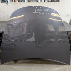 2017-2018-2019-2020-2021-2022 TESLA MODEL 3 HOOD OEM USED #9842