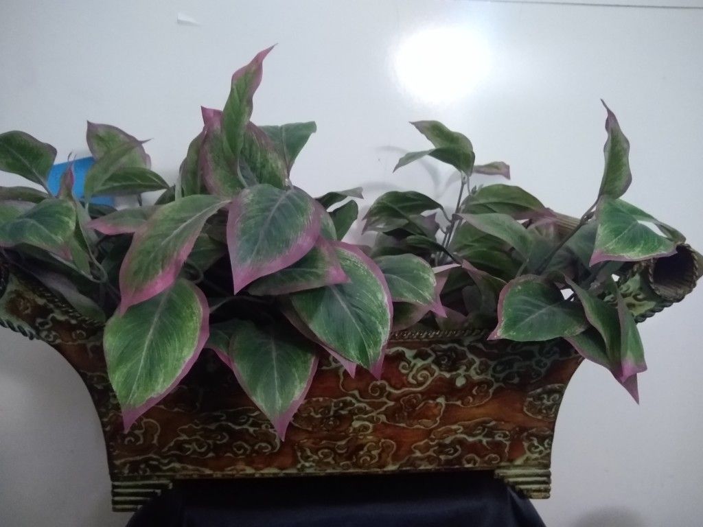Metal Planter Box With Fake Plants 