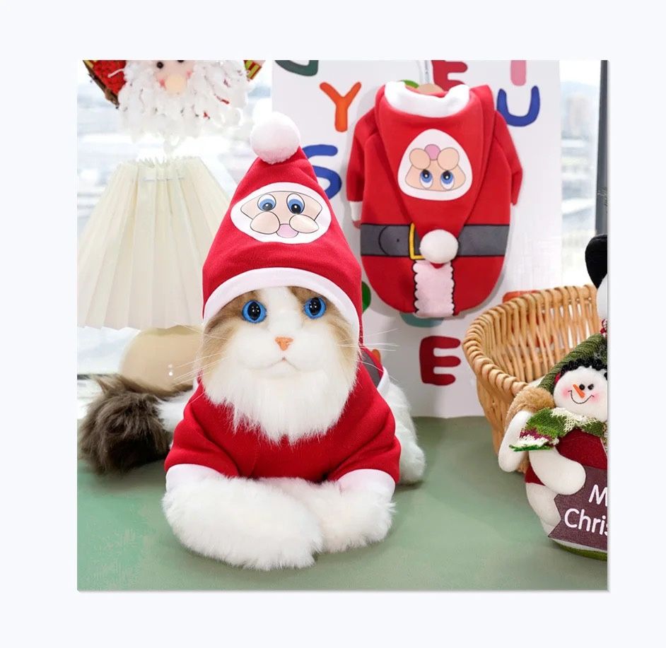 Christmas Santa Suit