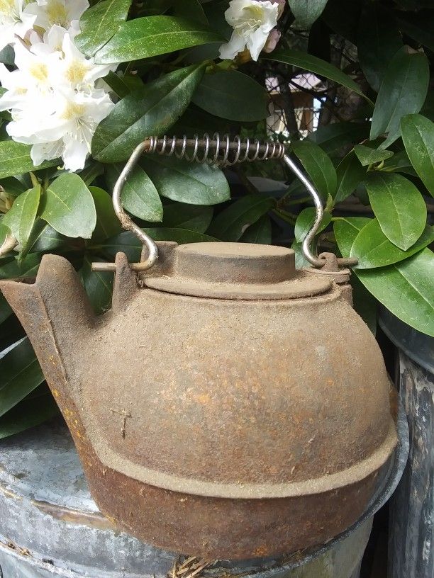 Rustic Cast Iron Tea Pot/ Kettle