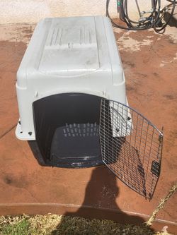 DSK Pet Carrier