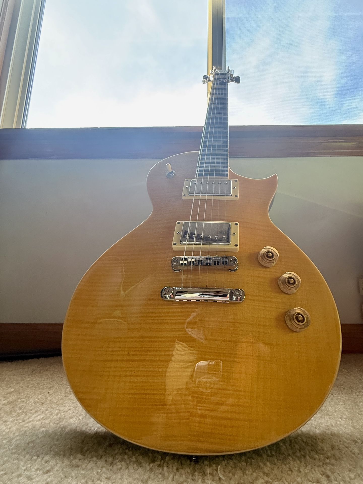 ESP LTD EC-Series Electric Guitar