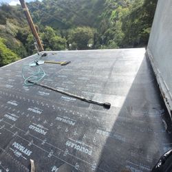 Roofin