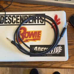 6 Foot Instrument Cable