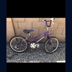 20 Oldschool Raleigh Jazzi