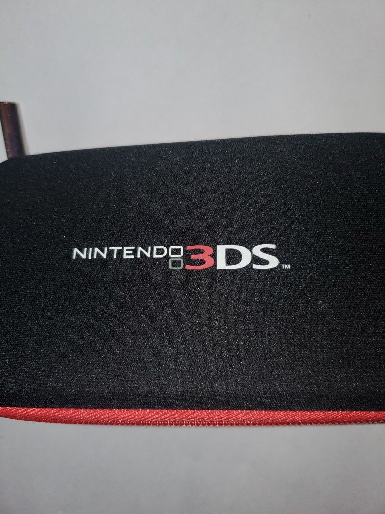 Nintendo 3DS Case