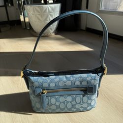 Rare Coach Jacquard Purse 