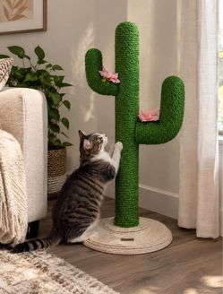 New Cactus Cat Scratching Post with Sisal Rope