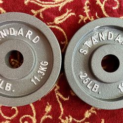 Barbell, 25lb Olympic Cast Iron Weight Plates