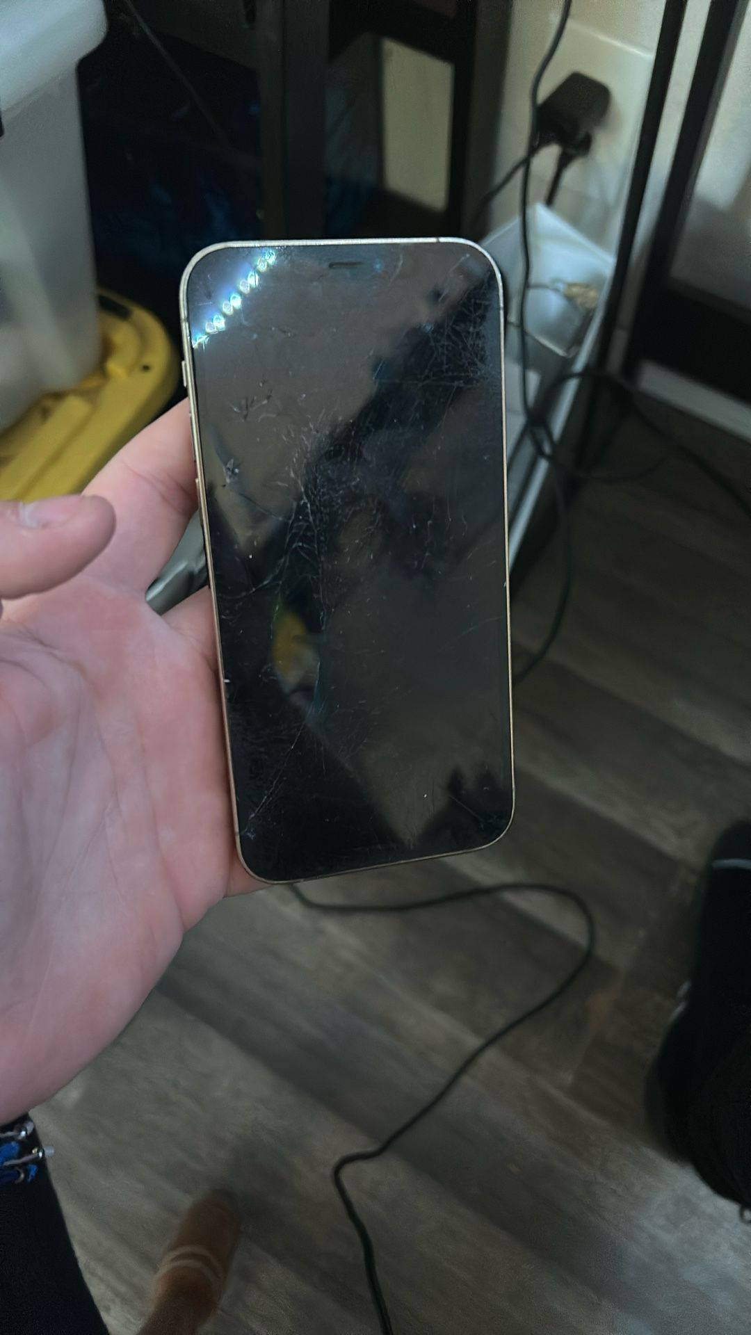 iPhone 12 