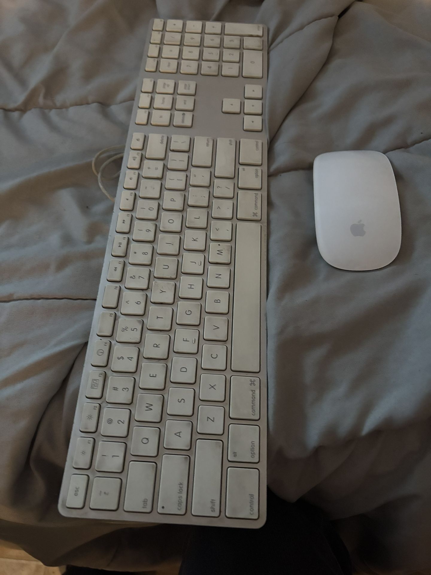 Apple Keyboard And Wireless Mouse