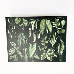 1000 pc. House Plant Jigsaw Puzzle