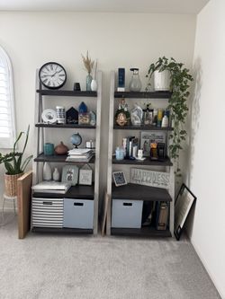 2 Ladder Bookshelves