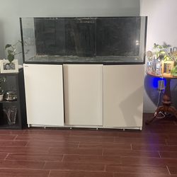 Red Sea 525xl  Salt Water Fish Tank