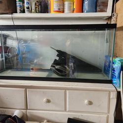 Fish Tank