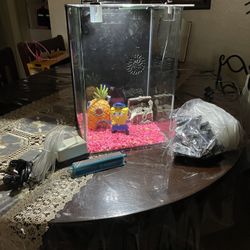 Sponge Bob Fish Tank