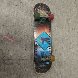 Skateboard