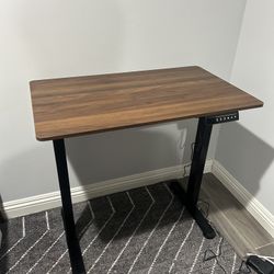 Standing Desk 
