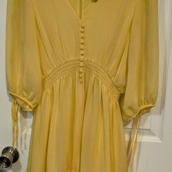 Woman's Size 12p Dress