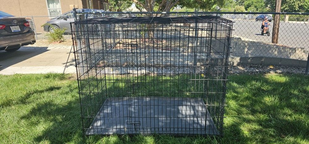 Xxl Dog Crate