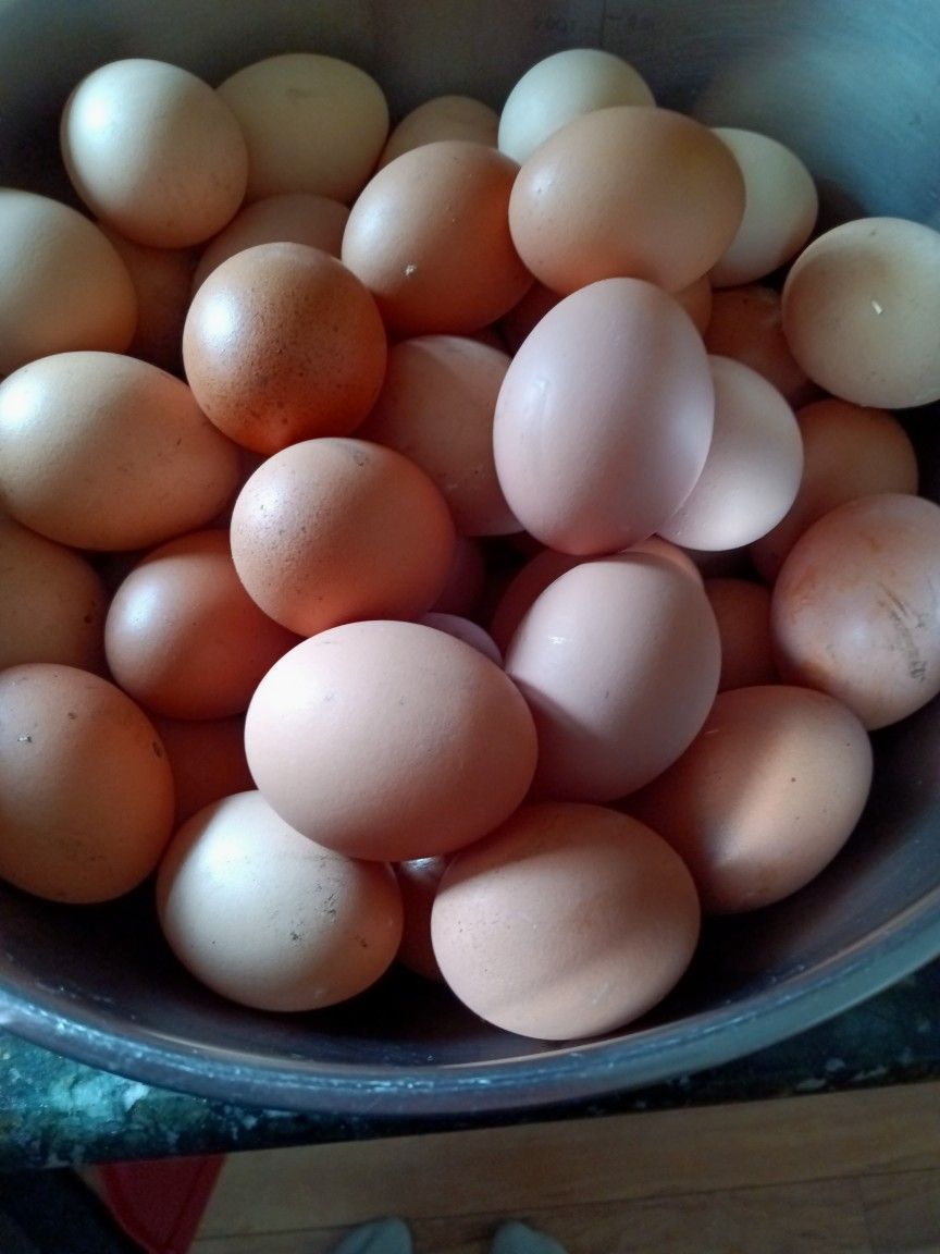 Eggs