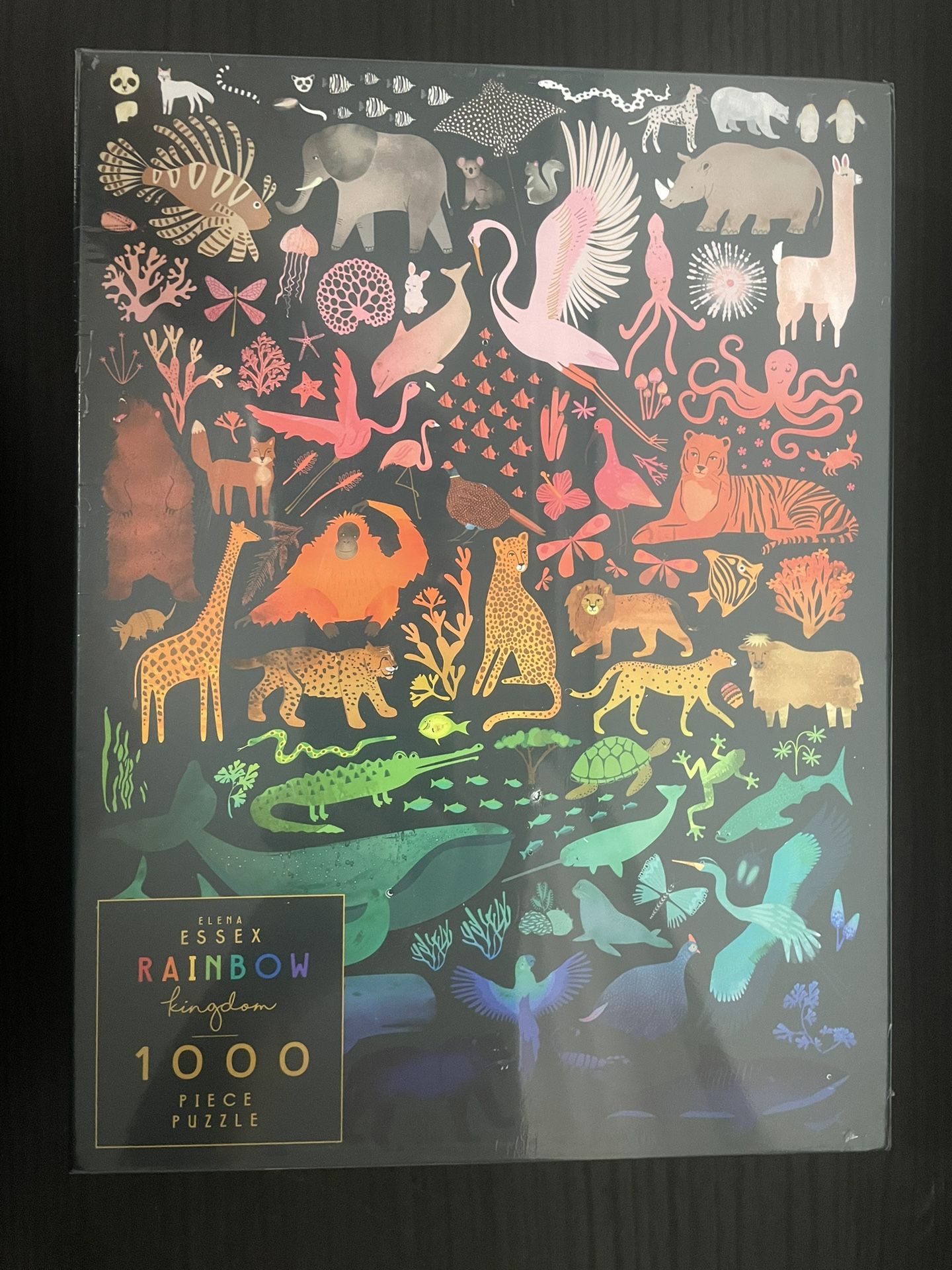 Rainbow Kingdom 1000 Piece Puzzle Elena Essex